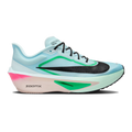 Nike Zoom Fly 6
