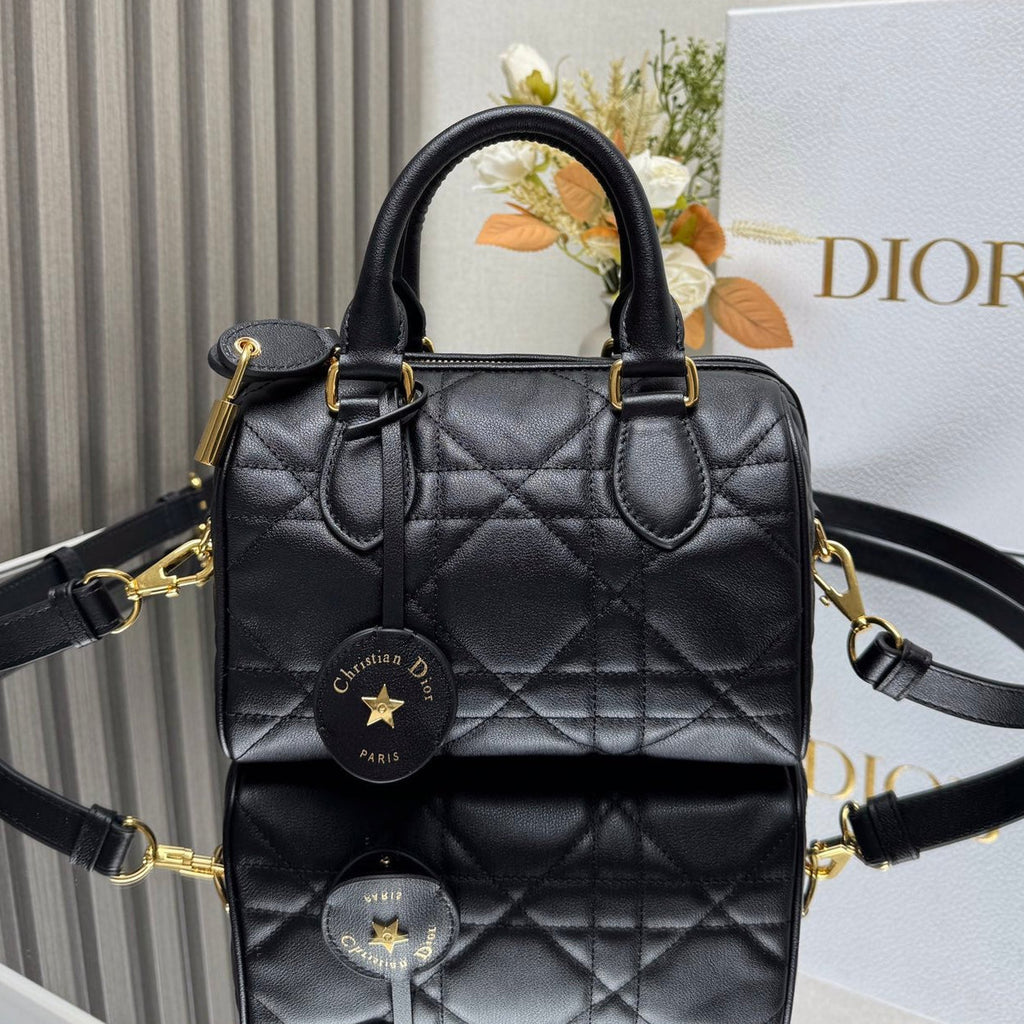 Dior 2026 Groove Bag 20cm Calfskin